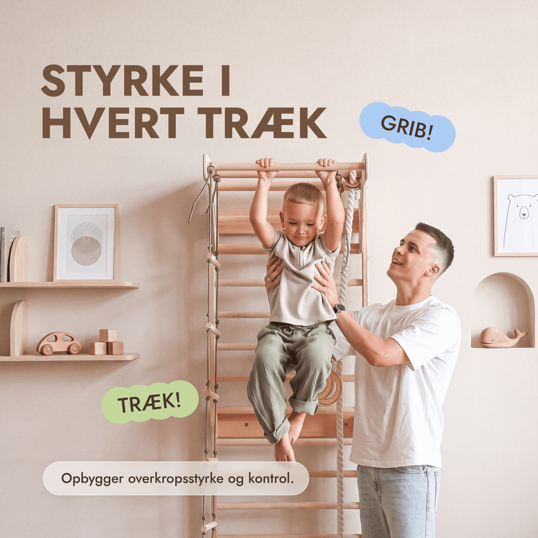 5-in-1 Gymnastikribbe til børn med pull up-stang & 3i1 gyngesæt - Goodevas DK