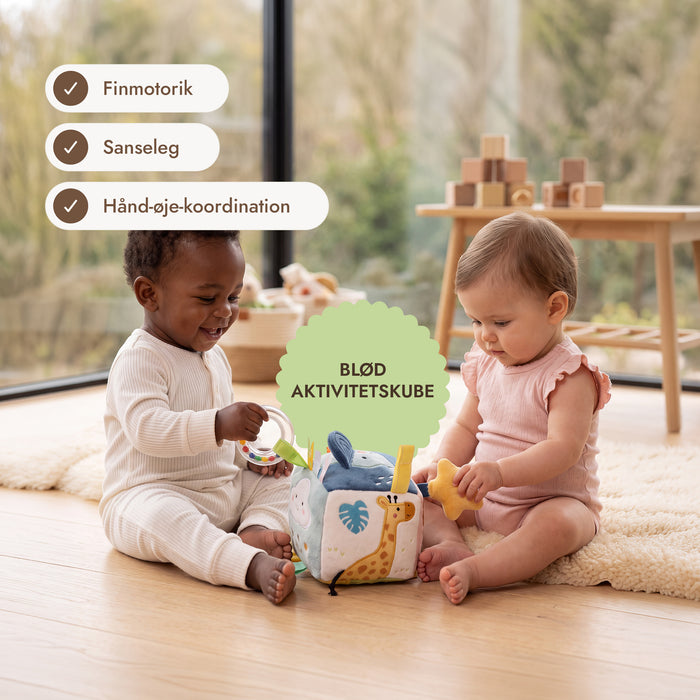BabyBox — Legesæt til det første år (0–12 måneder)