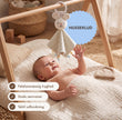 BabyBox — Legesæt til det første år (0–12 måneder)